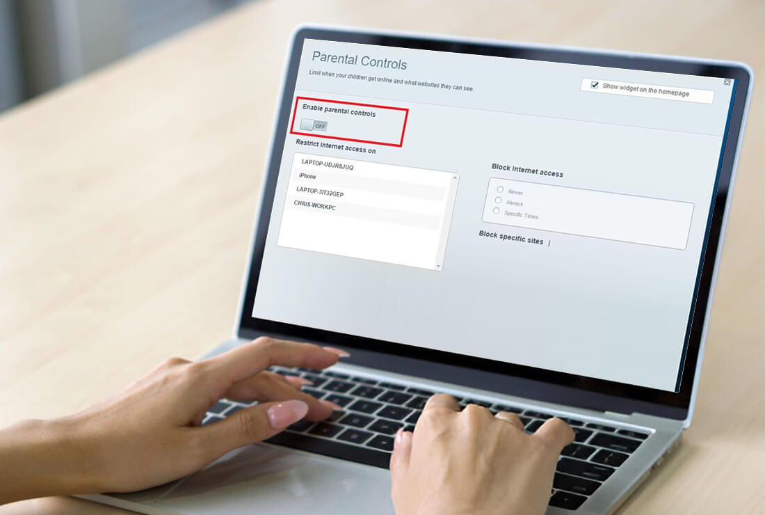 Accessing the Web Interface